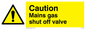 WV1313: Mains gas shut off valve
