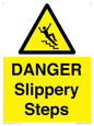 WV13837: DANGER Slippery Steps
