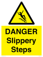 WV13837: DANGER Slippery Steps