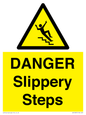 WV13837: DANGER Slippery Steps
