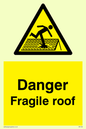 WV139: danger fragile roof