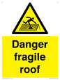 WV139: danger fragile roof