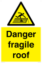 WV139: danger fragile roof