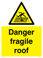 WV139: danger fragile roof
