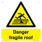 WV139: danger fragile roof