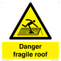 WV139: danger fragile roof