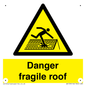 WV139: danger fragile roof