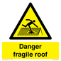 WV139: danger fragile roof