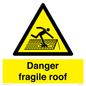 WV139: danger fragile roof