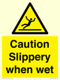 WV14559: Caution Slippery when wet