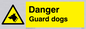 WV153: danger guard dogs