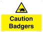 WV16877: Caution Badgers