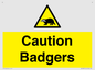 WV16877: Caution Badgers