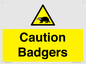 WV16877: Caution Badgers
