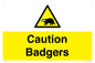 WV16877: Caution Badgers