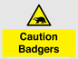 WV16877: Caution Badgers