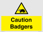 WV16877: Caution Badgers