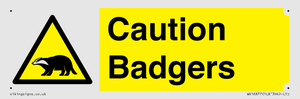WV16877: Caution Badgers