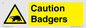 WV16877: Caution Badgers