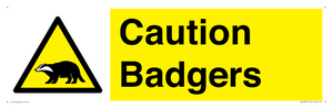 WV16877: Caution Badgers
