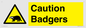 WV16877: Caution Badgers