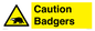 WV16877: Caution Badgers