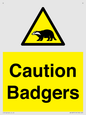 WV16877: Caution Badgers