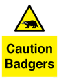 WV16877: Caution Badgers