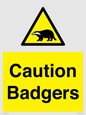 WV16877: Caution Badgers
