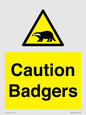 WV16877: Caution Badgers