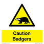 WV16877: Caution Badgers