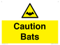 WV16881: Caution Bats