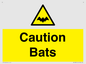 WV16881: Caution Bats