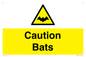WV16881: Caution Bats