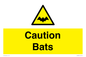 WV16881: Caution Bats