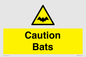 WV16881: Caution Bats