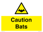WV16881: Caution Bats