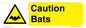 WV16881: Caution Bats