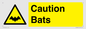 WV16881: Caution Bats