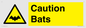 WV16881: Caution Bats