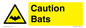 WV16881: Caution Bats