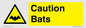 WV16881: Caution Bats