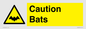 WV16881: Caution Bats