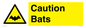 WV16881: Caution Bats