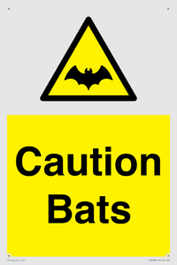 WV16881: Caution Bats
