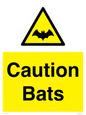 WV16881: Caution Bats