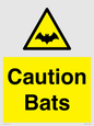 WV16881: Caution Bats