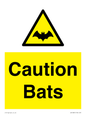 WV16881: Caution Bats