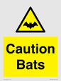 WV16881: Caution Bats