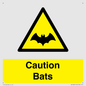 WV16881: Caution Bats
